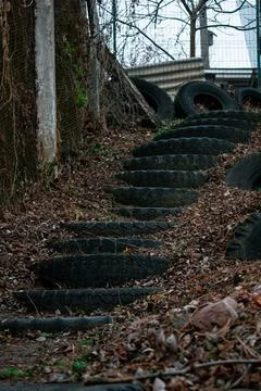 DSC 3125 写真素材