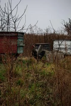 DSC 3129 Stock Photos