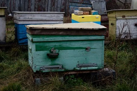 DSC 3153 Stock Photos