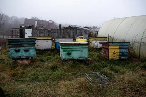 DSC 3156 Stock Photos