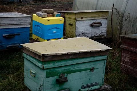 DSC 3159 Stock Photos