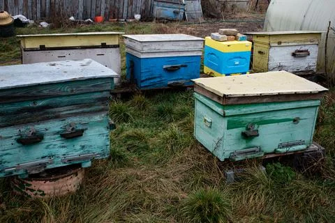 DSC 3161 Stock Photos