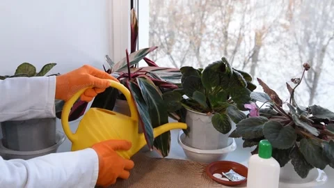 DSC 3473 Stock Footage 148727069