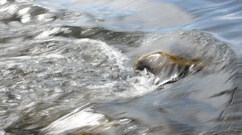 DSC 3670 動画素材 23473061