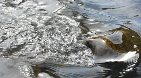 DSC 3672 動画素材 23473990