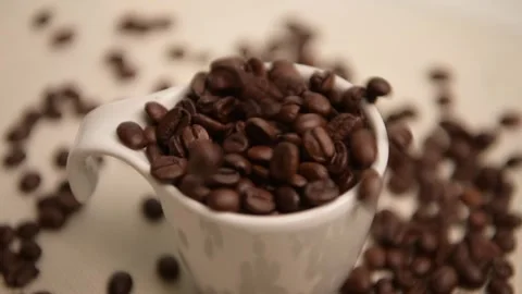 DSC 3898 Stock Footage 297209066