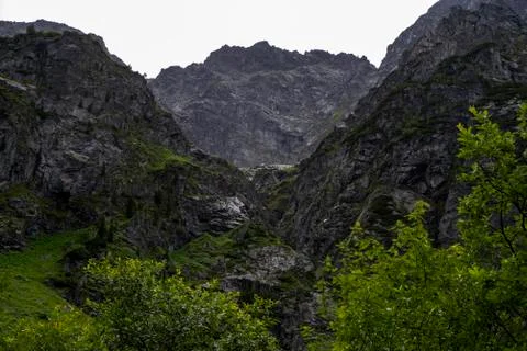 DSC 4002 写真素材