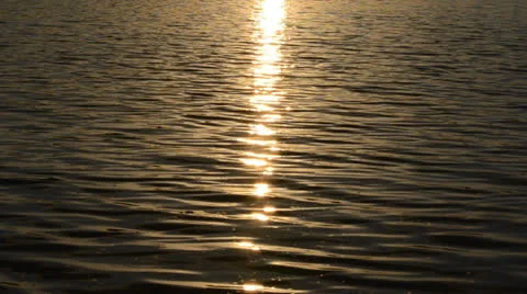 DSC 4311 動画素材 23435578