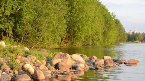 DSC 4315 動画素材 23436711