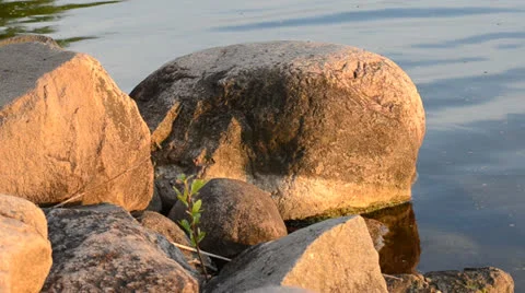 DSC 4316 動画素材 23437197