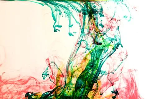 DSC 4546 스톡 사진