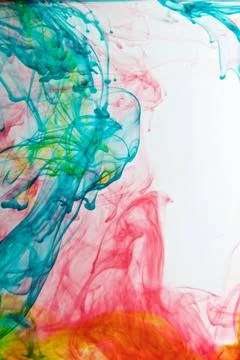 DSC 4548 스톡 사진