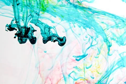 DSC 4553 스톡 사진