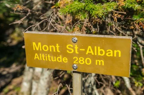 DSC 4808 Stock Photos