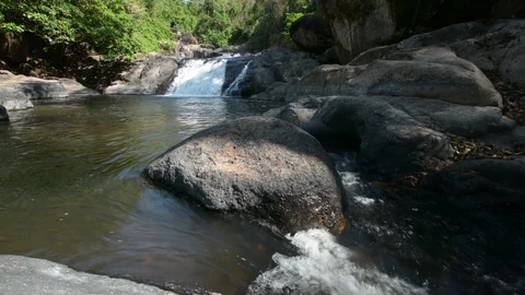 DSC 5198-is Stock Footage 90841293