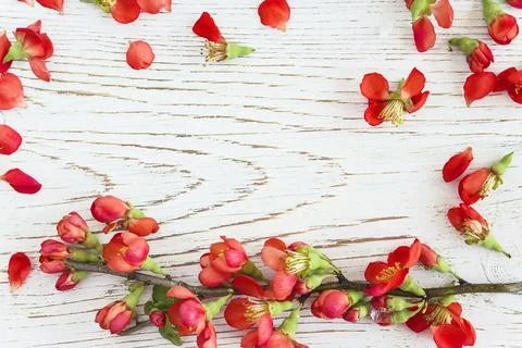 DSC 5212 Stock Photos