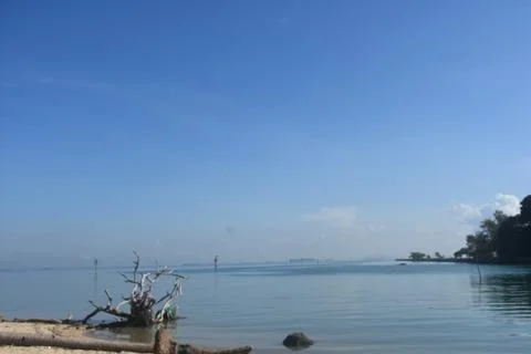 DSC 5308 Stock Photos