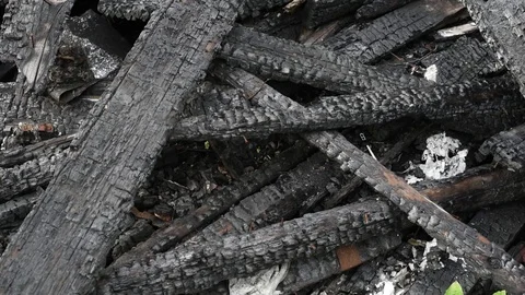 DSC 5641 Stock Footage 119018400