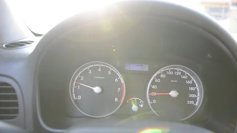 DSC 5831 Видео 115529083