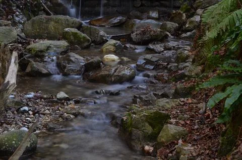 DSC 6607 ed Stock Photos