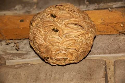 DSC 6868 Stock Photos