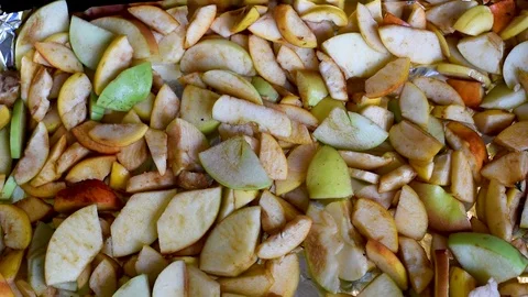 DSC 6875 Stock Footage 95066843