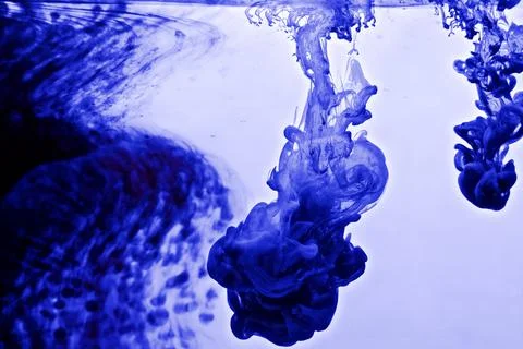 DSC 7302 스톡 사진