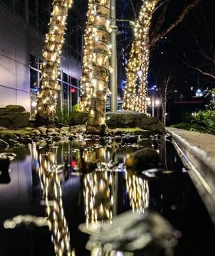 DSC 7394 Stock Photos