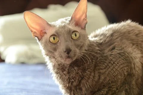 DSC 7548 Stock-Fotos