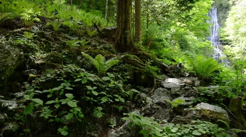 DSC 7945 1 Video stock 24805443