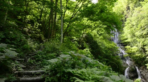 DSC 7948 Video stock 24805423