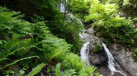 DSC 7949 Stock Footage 24805436