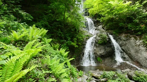 DSC 7961 動画素材 24805465