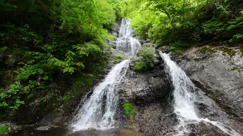 DSC 7966 1 Video stock 24805415