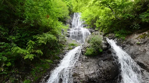 DSC 7969 1 Stock-Footage 24805455