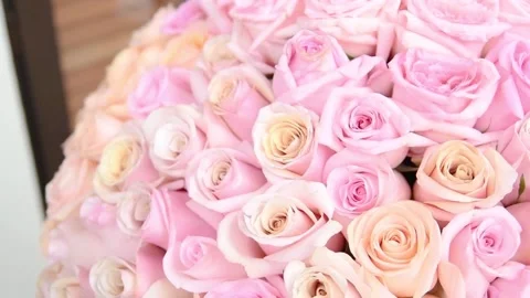 DSC 8129 Video stock 137276882