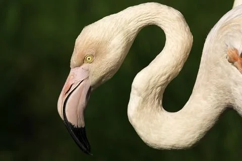 DSC 8358 Stock-Fotos