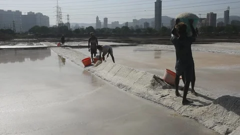 DSC 8484 Stock Footage 181061643