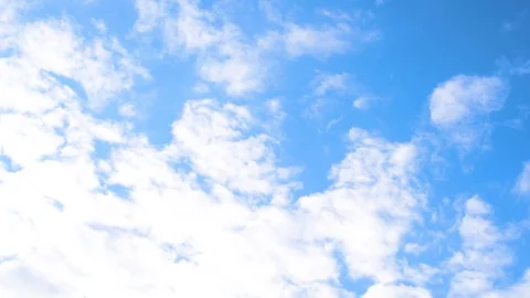 DSC 8508 Video stock 94014852