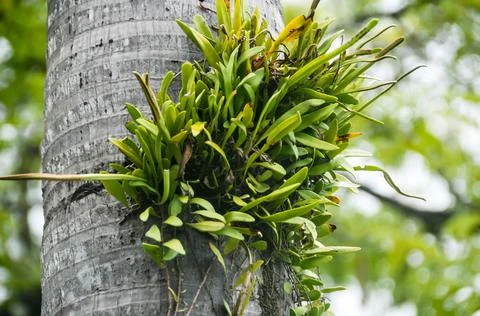 DSC 8627 Stock Photos