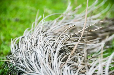 DSC 8633 스톡 사진