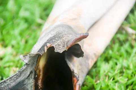 DSC 8636 Stock Photos