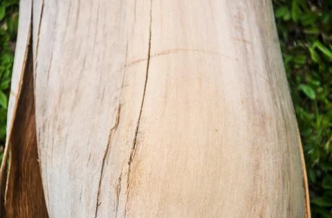 DSC 8639 Stock Photos