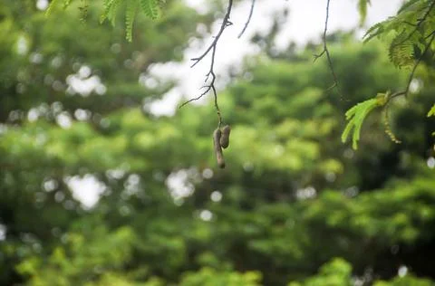 DSC 8640 Stock Photos