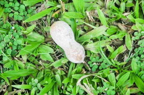 DSC 8650 Stock Photos