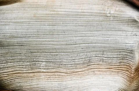 DSC 8656 Stock Photos