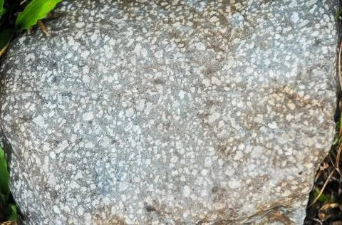 DSC 8698 Stock Photos