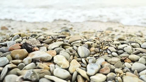 DSC 9132 Stock Footage 203785191