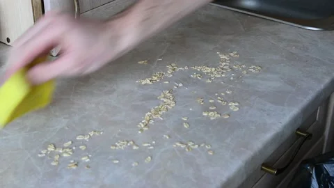 DSC 9176 Stock Footage 171851402