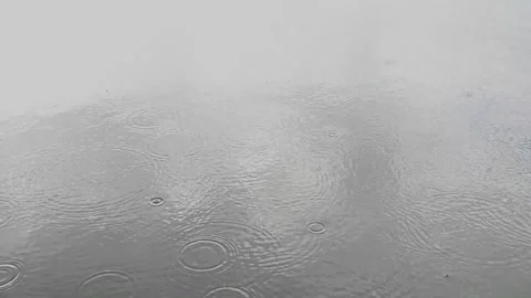 DSC 9192 Stock Footage 203788230